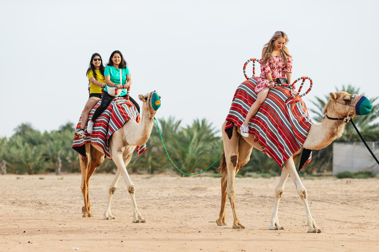 Dubai: Passeio de balão ao nascer do sol com passeio de camelo e café da manhã