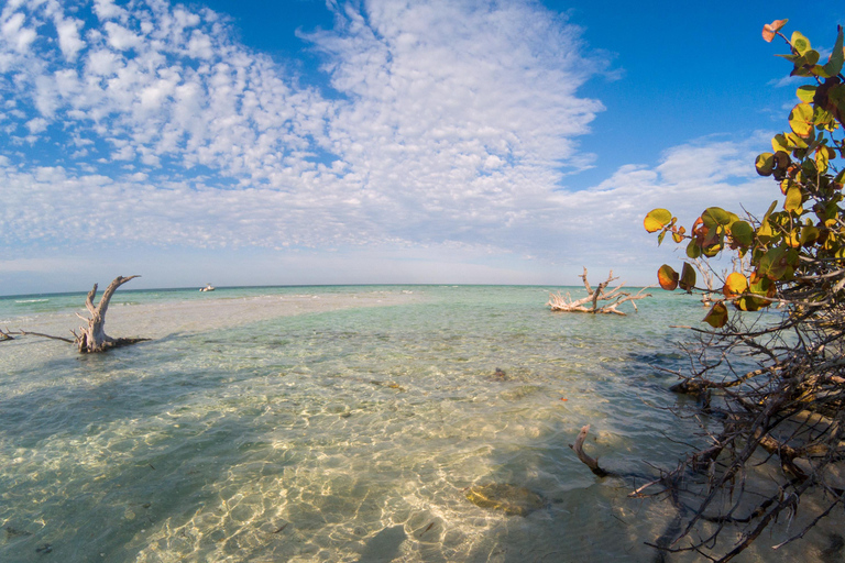 Key West: prywatny czarter łodzi z kapitanemKey West: Prywatny czarter łodzi z kapitanem