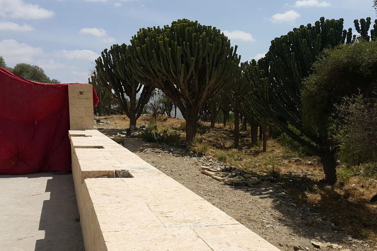 Addis Ababa: 14-Day Northern Ethiopia Tours