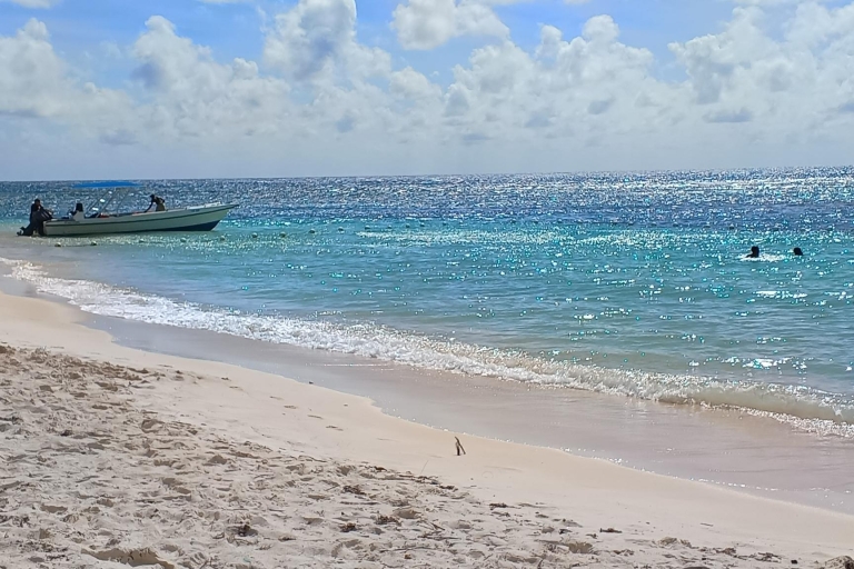 Premium Saona Island von Punta Cana aus