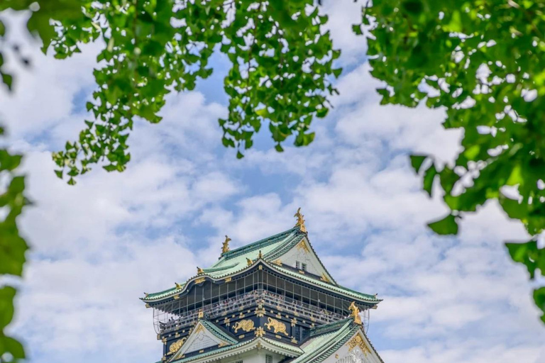 Osaka: Shore Excursion for Cruise Guests（Group） A. Osaka City Itinerary-Small Group(max 9 person)