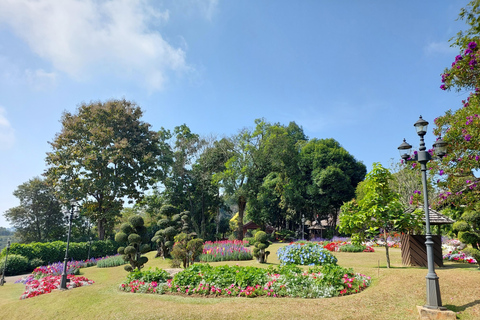 Chiang Rai: Mountains Discovery Doi Mae Salong & Doi Tung Mountains Discovery:Doi Mae Salong & Doi Tung (Private Tour)