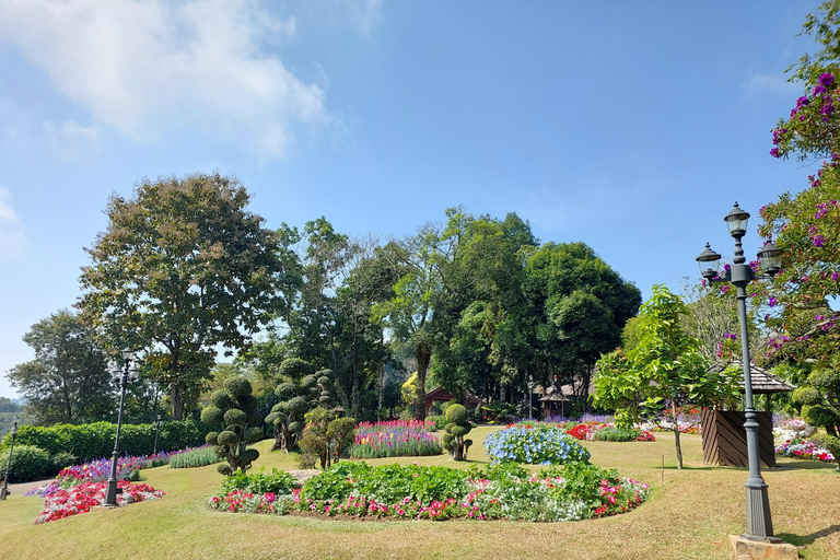 Chiang Rai: Mountains Discovery Doi Mae Salong & Doi Tung Mountains Discovery:Doi Mae Salong & Doi Tung (Private Tour)