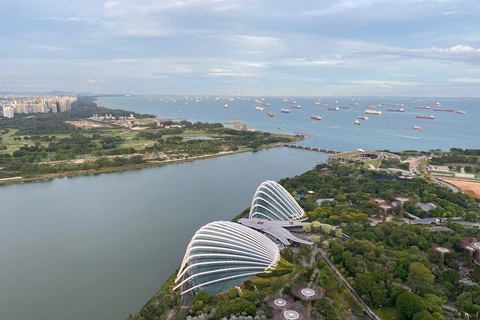 Passeio turístico particular pelo Marina Bay Sands + cruzeiro guiado pelo rioTour particular em Cingapura Passeio turístico noturno + cruzeiro pelo rio
