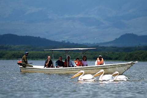 Excursion d'une journée au lac Naivasha (Hells Gate) avec promenade en bateau