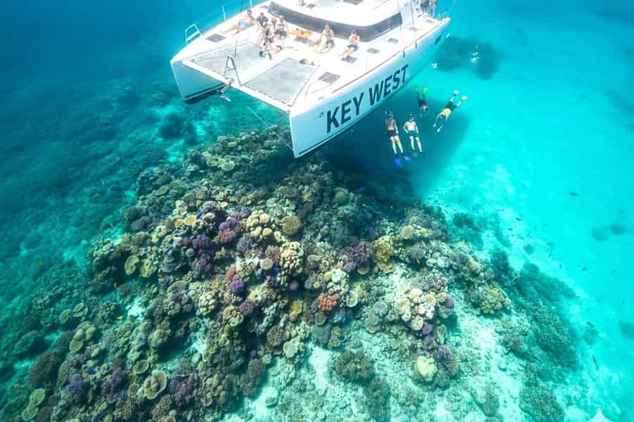 Miami: Key West Tagestour mit Schnorcheln oder anderen Optionen. Foto: GetYourGuide Miami: Key West Tagestour mit Schnorcheln oder anderen Optionen. Foto: GetYourGuide