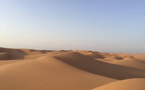 Muscat: Privat Wahiba Sands Wüste, Übernachtung & Wadi Khalid