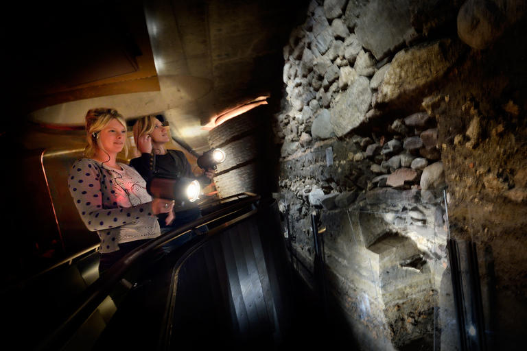 Utrecht: Entrada DOMunder