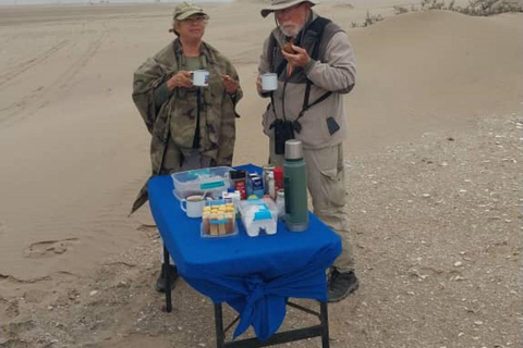 Walvis Bay: Excursión de Observación de Aves y Fotografía