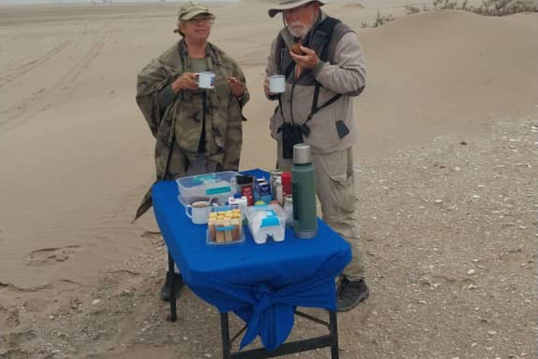 Walvis Bay: Vogels kijken en fotograferen