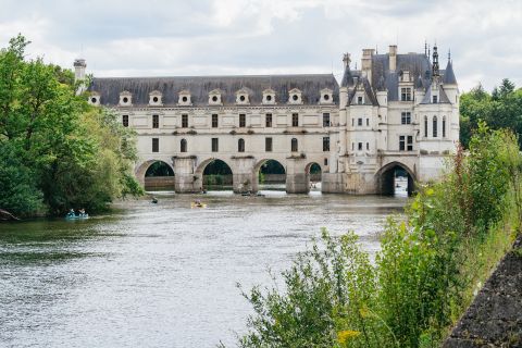 Da Parigi: gita di un giorno ai castelli della Valle della Loira con degustazione di vini