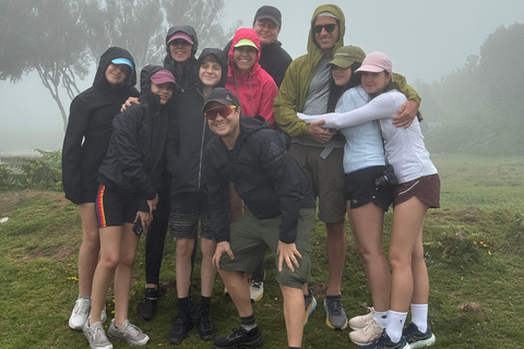 West Jeep tour Madeira: Fanal, Seixal beach, Vulcaninc Pools