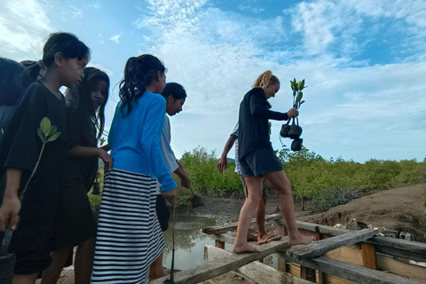 Bagek Kembar: Mangrove & Stingless Beekeeping Experience