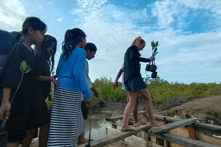 Bagek Kembar: Mangrove & Stingless Beekeeping Experience