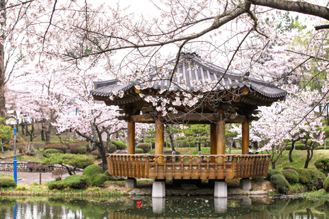 Busan : Sky Capsule ou visite printanière des cerisiers en fleurs de GyeongjuVisite printanière de Busan en Sky Capsule, rendez-vous à la station Seomyeon