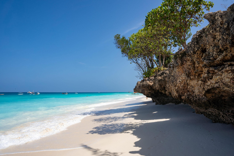 Tanzânia: Safári de 12 dias e escapada para a praia de Zanzibar