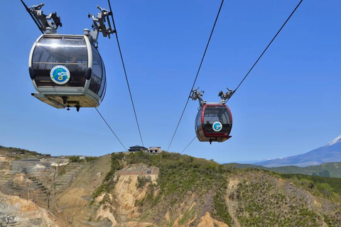 From Tokyo: Mt. Fuji & Hakone Private Day Trip with Driver