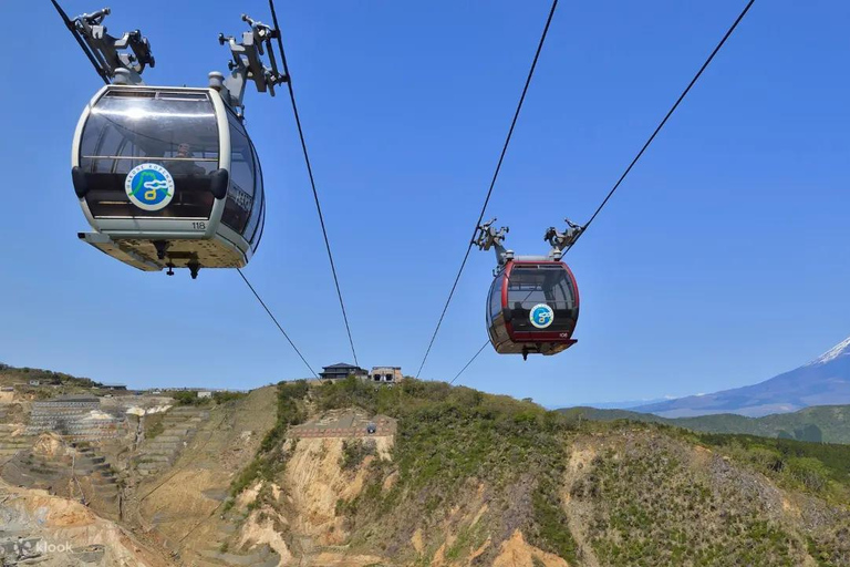 From Tokyo: Mt. Fuji & Hakone Private Day Trip with Driver