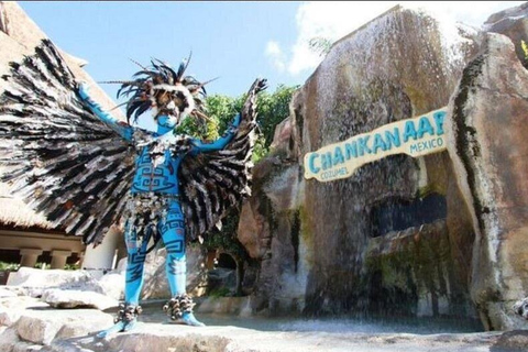 Private Cozumel Tour Your Way - Groups up to 4 People