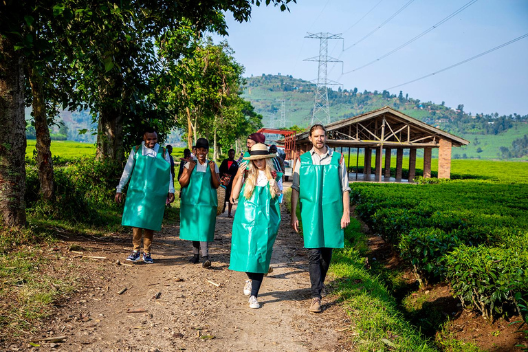 2-dniowa wycieczka kawowa nad jezioro Kivu2 dni od ziarna do filiżanki – kawa z jeziora Kivu