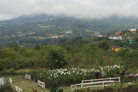 Medellin : Visite privée de la ferme de fleurs de Santa Elena et de Silletero