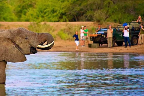 7-dniowa przygoda na safari w Kenii