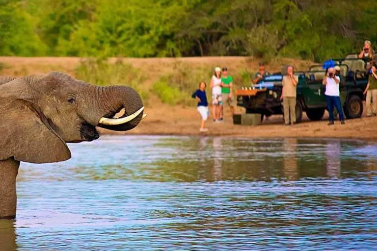 7 Dagen Smaak van Kenia Safari Avontuur