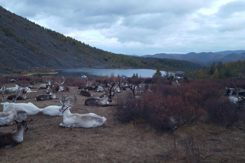 Trekking à cheval dans la vallée de l&#039;Orkhon, région des 8 lacs8 lacs de la vallée de l&#039;Orkhon, randonnée à cheval, région des chutes d&#039;eau