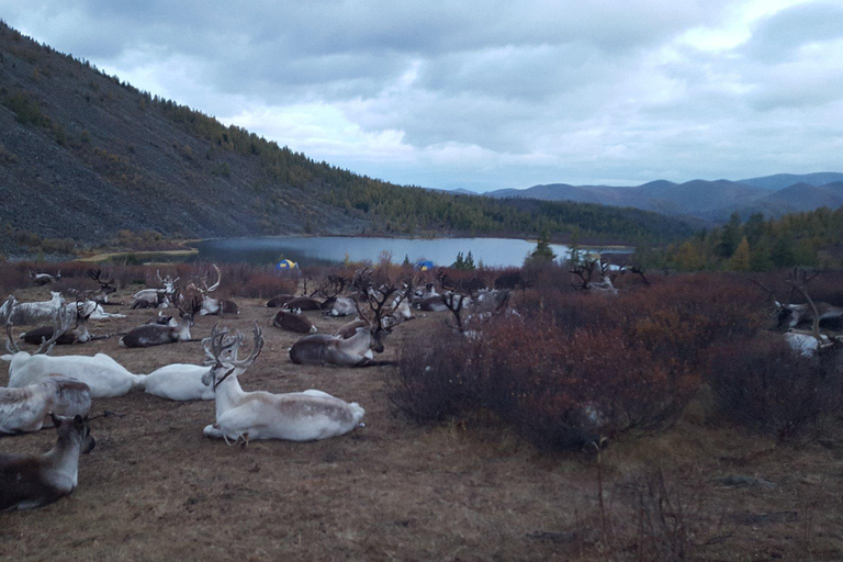 Trekking à cheval dans la vallée de l&#039;Orkhon, région des 8 lacs8 lacs de la vallée de l&#039;Orkhon, randonnée à cheval, région des chutes d&#039;eau