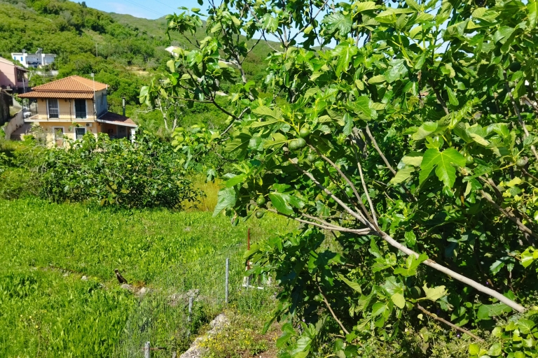 Corfu: Mountain Villages Private Tour