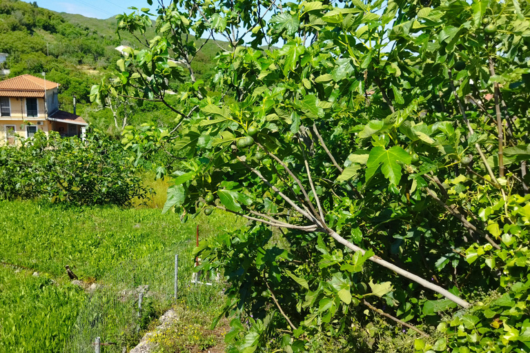 Corfu: Mountain Villages Private Tour