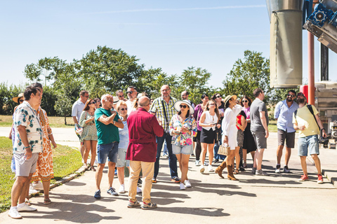 Bucharest: Tour The Wine Road, 2 Boutique Wineries in 1 Day