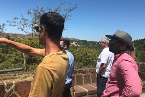 Visite d'une jounée de Lagos et Sagres au départ d'AlbufeiraDepuis Albufeira : Lagos Lagres Tour