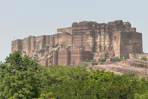 Tour de la ciudad azul de Jodhpur con guía localExcursión a pie por la Ciudad Azul de Jodhpur con guía local