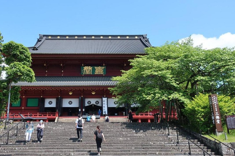 Aventura de Elite de Nikko: Tour guiado particular