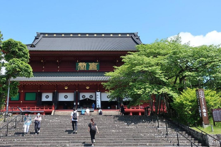 Puerta de Nikko de Lujo;Tour guiado privado