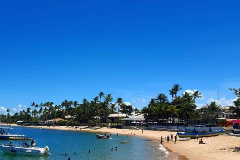 Salvador: Tagestour nach Praia do Forte und Guarajuba