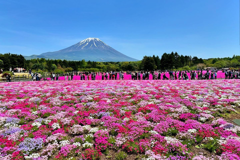 MOUNT FUJI DAGVULLENDE TOUR MET ENGELSE GIDSprivétour in het engels