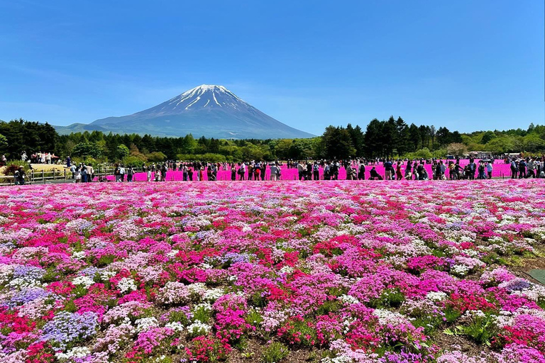 MOUNT FUJI DAGVULLENDE TOUR MET ENGELSE GIDSprivétour in het engels