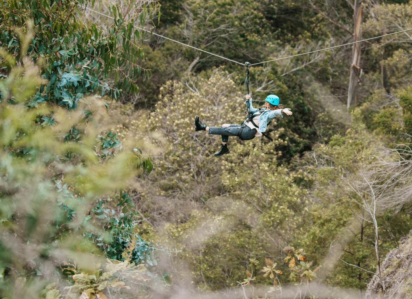 Maui: Haleakala 6-line zipline-eventyr