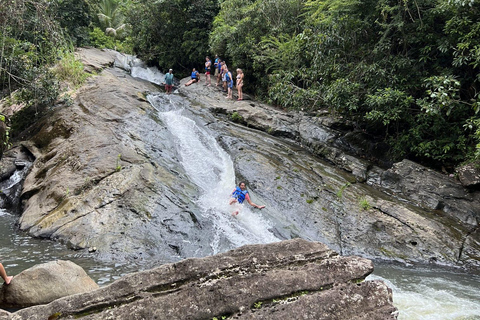 El Yunque Rainforest & Old San Juan Tour