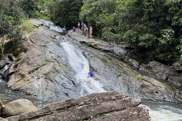 El Yunque Rainforest & Old San Juan Tour
