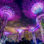 Singapore: crociera fluviale, giardini e spettacoli di luci Spectra
