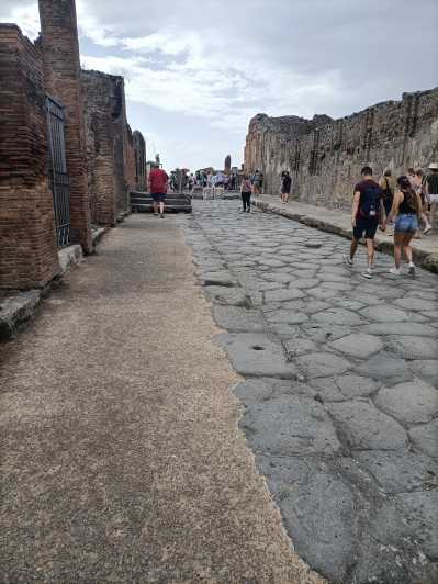 Napoli'den rehber eşliğinde Pompeii Herculaneum ve Oplontis