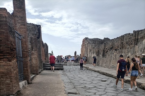 De Naples: visite œnologique et gastronomique de Sorrente et de la côte du Vésuve