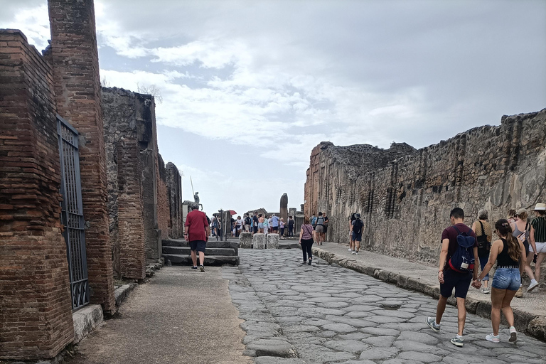 Da Napoli: Tour guidato Vesuvio-Pompei e degustazione di viniDa Napoli: tour enogastronomico della costiera sorrentina e vesuviana