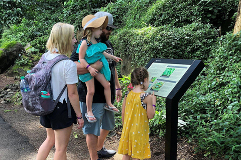 Oahu: Waimea Valley General Admission with Waterfall Access