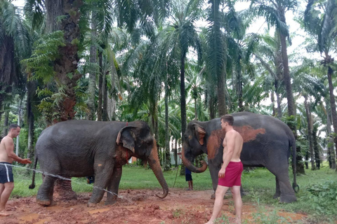 Krabi Elafante e avventura in fuoristrada(30min/30min)Krabi Elaphant: bagno e avventura in fuoristrada