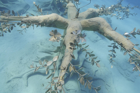 أيا نابا: متحف موسان اكتشف تجربة الغوص