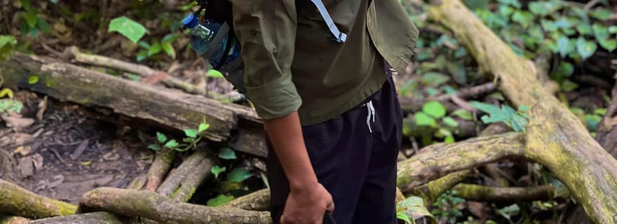 Randonnée dans la jungle avec séjour dans la jungle de Batu Ridi